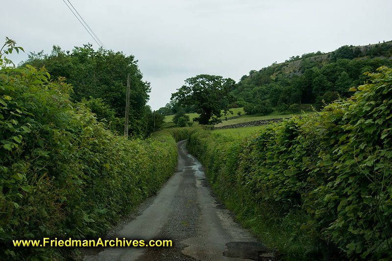 road,street,narrow,travel,auto,car,transportation,lane,2-way,traffic,